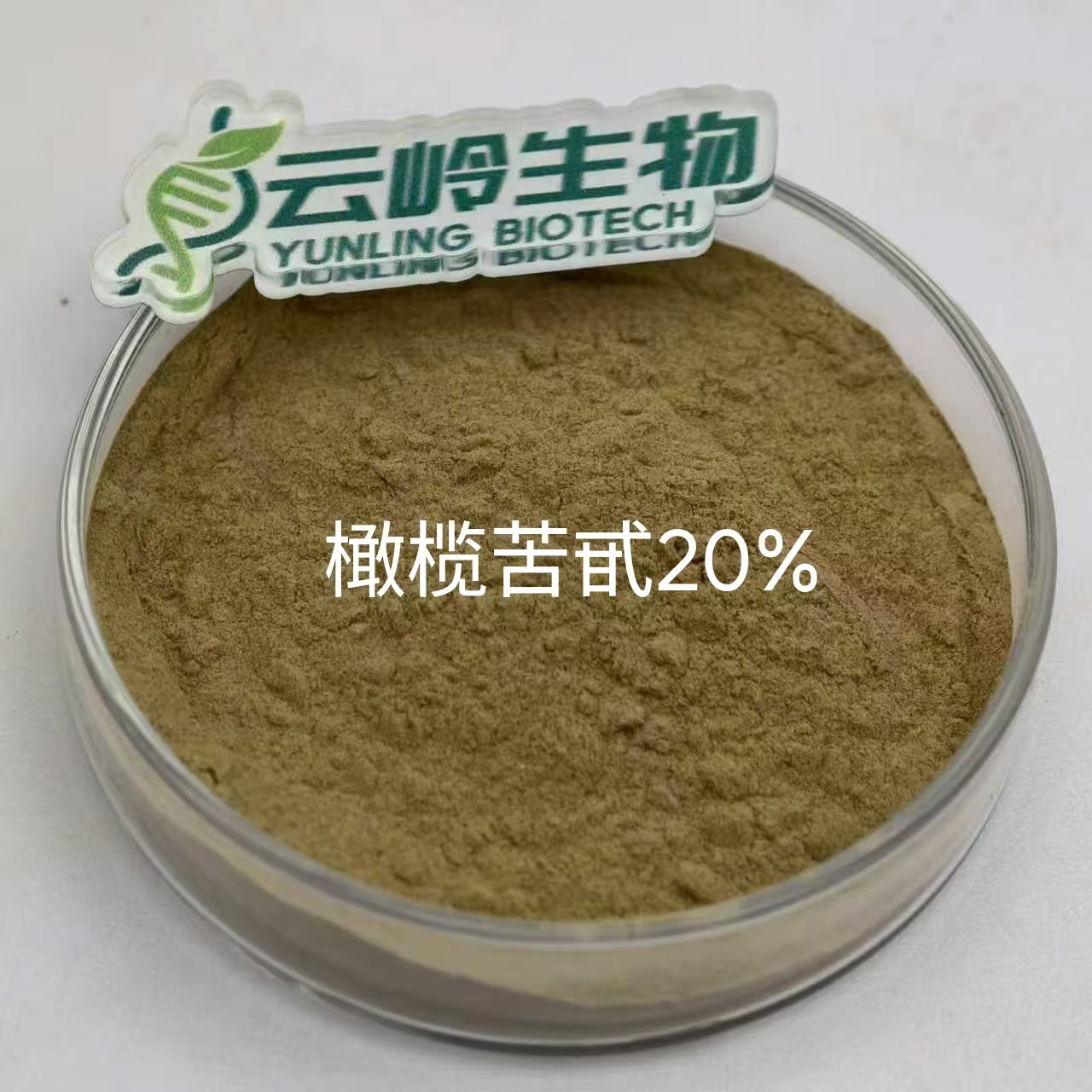 橄榄叶提取物